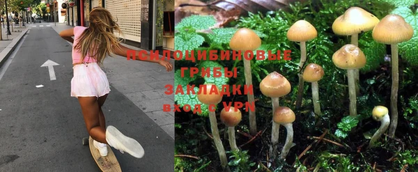бошки Алзамай