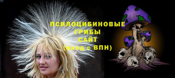 бошки Алзамай